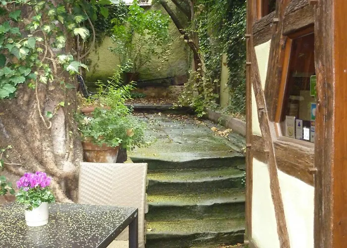 Apartamento Chez Norbert Le Riesling